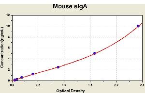 Diagramm of the ELISA kit to detect Mouse s1 gAwith the optical density on the x-axis and the concentration on the y-axis. (IgA Secretory Component ELISA Kit)