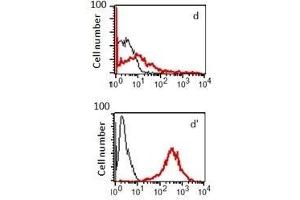 Flow Cytometry (FACS) image for anti-Sphingosine-1-Phosphate Receptor 1 (S1PR1) antibody (ABIN2476566) (S1PR1 Antikörper)