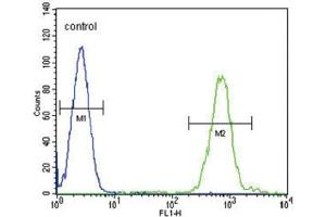 Flow Cytometry (FACS) image for anti-Solute Carrier Family 8 (Sodium/calcium Exchanger), Member 1 (SLC8A1) antibody (ABIN3003974) (SLC8A1 Antikörper)