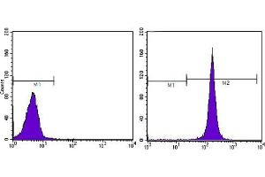 Flow Cytometry (FACS) image for anti-CD44 (CD44) antibody (ABIN969026)