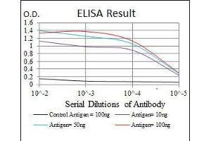 ELISA image for anti-NAD(P)H Dehydrogenase, Quinone 1 (NQO1) antibody (ABIN969319)