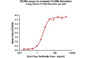 Elisa plates were pre-coated with Flag Tag C-Nanodisc (0. (Claudin 4 Protein (CLDN4))