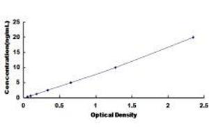 Typical Standard Curve (Anion/Sugar Transporter ELISA Kit)