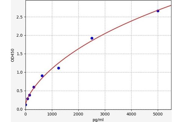 Lamin A/C ELISA Kit