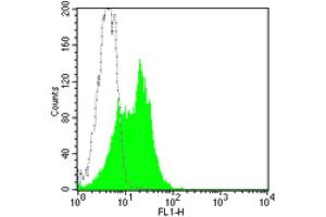 Flow Cytometry (FACS) image for anti-Intercellular Adhesion Molecule 1 (ICAM1) antibody (FITC) (ABIN2144636) (ICAM1 Antikörper  (FITC))