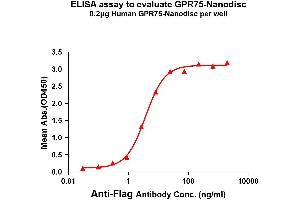 Elisa plates were pre-coated with Flag Tag -Nanodisc (0. (GPR75 Protein)