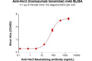 ELISA plate pre-coated by 1 μg/mL (100 μL/well) Human Her2, His tagged protein (ABIN6964074, ABIN7042403 and ABIN7042404) can bind Anti-Her2 (trastuzumab biosimilar) mAb (ABIN7093066 and ABIN7272596) in a linear range of 3. (Rekombinanter ErbB2/Her2 (Trastuzumab Biosimilar) Antikörper)