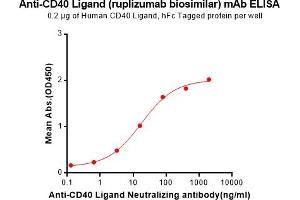 ELISA plate pre-coated by 2 μg/mL (100 μL/well) Human CD40 Ligand Protein, hFc Tag (ABIN6964081, ABIN7042417 and ABIN7042418) can bind Anti-CD40L Neutralizing antibody (ABIN7093061 and ABIN7272591) in a linear range of 0. (Rekombinanter CD40L (Ruplizumab Biosimilar) Antikörper)