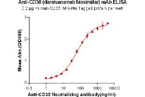 ELISA plate pre-coated by 2 μg/mL (100 μL/well) Human CD38, hFc-His tagged protein (ABIN6961077, ABIN7042183 and ABIN7042184) can bind Anti-CD38 Neutralizing antibody in a linear range of 0. (Rekombinanter CD38 (Daratumumab Biosimilar) Antikörper)