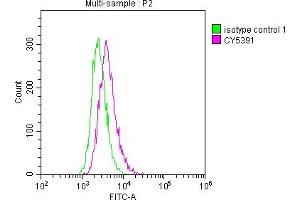 Overlay histogram showing Raji cells stained with ABIN7127559 (red line) at 1:50. (Rekombinanter ICAM1 Antikörper)