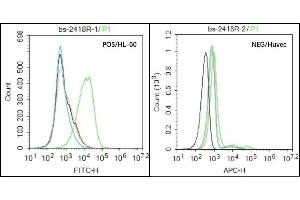 HL-60 (Positive) and huvec (Negative control) cells (black) were incubated in 5% BSA blocking buffer for 30 min at room temperature. (NCR3 Antikörper  (AA 81-180))