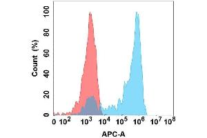 Flow cytometry analysis with Anti-Nectin4 on Expi293 cells transfected with human Nectin4 (Blue histogram) or Expi293 transfected with irrelevant protein (Red histogram). (PVRL4 Antikörper)