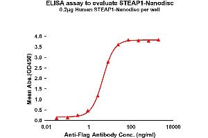 Elisa plates were pre-coated with Flag Tag ST-Nanodisc (0. (STEAP1 Protein)