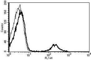 A typical staining pattern with the B-H20 monoclonal antibody of lymphocytes (CD20 Antikörper)