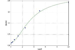 A typical standard curve (TIMP1 ELISA Kit)