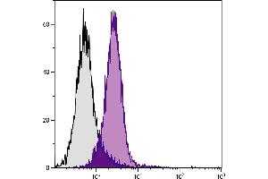 BALB/c mouse splenocytes were stained with Rat Anti-Mouse CD2-BIOT. (CD2 Antikörper  (Biotin))