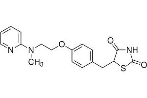 Chemical structure of Rosiglitazone Maleate , a Insulin sensitizing agent. (Rosiglitazone Maleate)