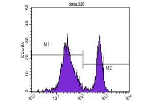 Flow Cytometry (FACS) image for anti-CD4 (CD4) antibody (ABIN1847199) (CD4 Antikörper)