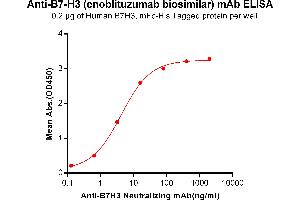 ELISA plate pre-coated by 2 μg/mL (100 μL/well) Human B7-H3, mFc-His tagged protein ABIN6961085, ABIN7042199 and ABIN7042200 can bind Anti-B7-H3 Neutralizing antibody in a linear range of 0. (Rekombinanter B7-H3 (Enoblituzumab Biosimilar) Antikörper)