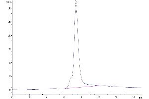 Size-exclusion chromatography-High Pressure Liquid Chromatography (SEC-HPLC) image for Interleukin 18 Binding Protein (IL18BP) (AA 31-194) protein (Fc Tag) (ABIN7274976)