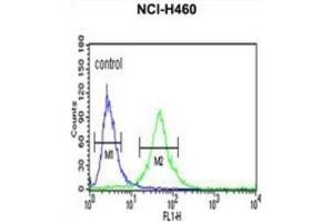 Flow Cytometry (FACS) image for anti-Ribosomal Protein S13 (RPS13) antibody (ABIN3002137) (RPS13 Antikörper)