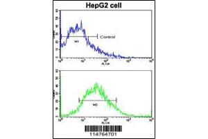 Flow cytometric analysis of HepG2 cells using LGR5/GPR49 Antibody (bottom histogram) compared to a negative control cell (top histogram). (LGR5 Antikörper  (N-Term))