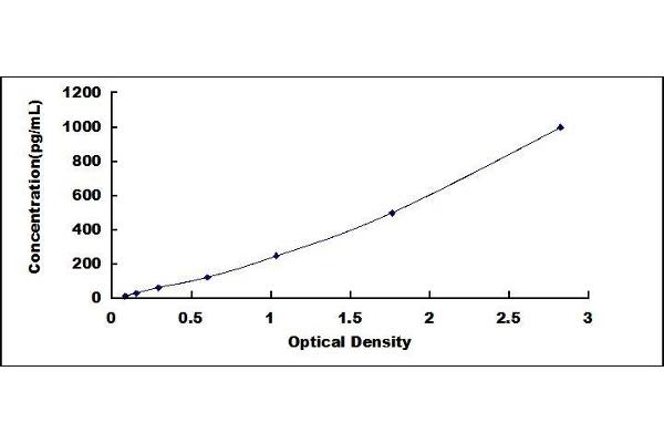 IL1F9 ELISA Kit