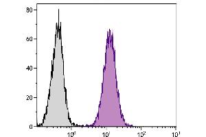 Mouse Mφ cells were intracellularly stained with Rat  Anti-Mouse CD107a-APC. (LAMP1 Antikörper  (APC))