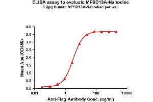 Elisa plates were pre-coated with Flag Tag MA-Nanodisc (0. (TMEM180 Protein)