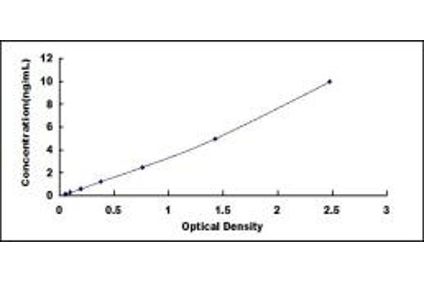 SESN3 ELISA Kit