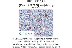 Image no. 2 for anti-Selectin P (Granule Membrane Protein 140kDa, Antigen CD62) (SELP) antibody (ABIN1724063) (P-Selectin Antikörper)