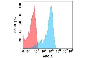 Flow cytometry analysis with Anti-EREG on Expi293 cells transfected with human EREG (Blue histogram) or Expi293 transfected with irrelevant protein (Red histogram). (Epiregulin Antikörper)