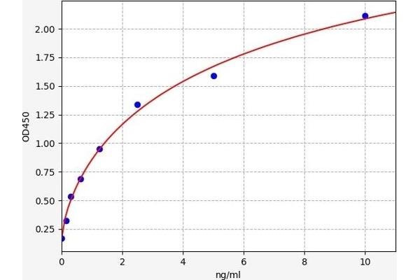 Anillin ELISA Kit