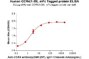 CCR4 Protein (AA 1-39) (mFc Tag)