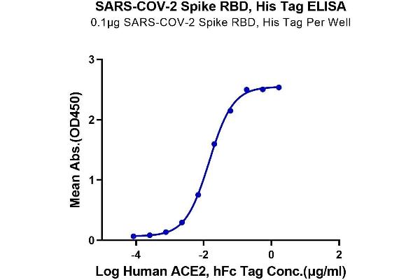 SARS-CoV-2 Spike Protein (RBD) (His-Avi Tag)