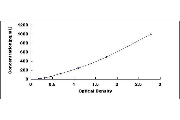 GDF5 ELISA Kit