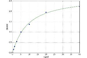 A typical standard curve (TIMP2 ELISA Kit)