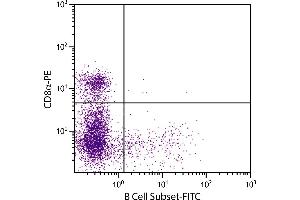 Porcine peripheral blood lymphocytes were stained with Mouse Anti-Porcine B Cell Subset-FITC. (B-Cells (Subset) Antikörper (PE))