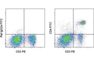Image no. 1 for anti-CD4 (CD4) antibody (FITC) (ABIN474121) (CD4 Antikörper  (FITC))