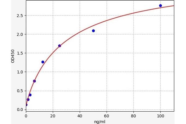 PROC ELISA Kit