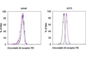 Image no. 1 for anti-Oncostatin M Receptor (OSMR) antibody (PE) (ABIN475222) (Oncostatin M Receptor Antikörper  (PE))