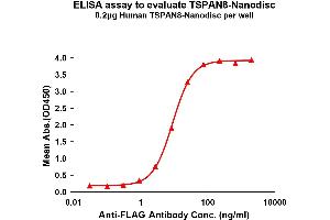 Elisa plates were pre-coated with Flag Tag TS-Nanodisc (0. (Tspan-8 Protein)