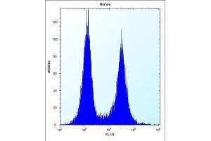 Flow Cytometry (FACS) image for anti-CD27 Molecule (CD27) antibody (ABIN2997506) (CD27 Antikörper)