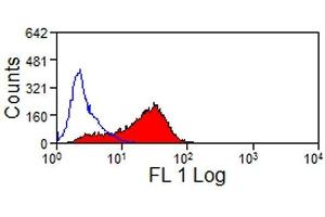 Flow Cytometry (FACS) image for anti-Junctional Adhesion Molecule 3 (JAM3) antibody (ABIN2475176) (JAM3 Antikörper)