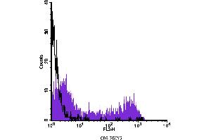 Flow Cytometry (FACS) image for anti-CD8 (CD8) antibody (PE-Cy5) (ABIN2144354) (CD8 Antikörper  (PE-Cy5))