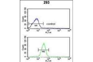 Flow Cytometry (FACS) image for anti-Glutamate-Cysteine Ligase, Modifier Subunit (GCLM) (AA 246-274), (C-Term) antibody (ABIN653046)