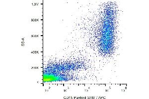 Flow cytometry analysis (surface staining) of CD15 in human peripheral blood with anti-CD15 (MMA) purified, GAM-APC. (CD15 Antikörper)