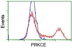 HEK293T cells transfected with either RC217702 overexpress plasmid (Red) or empty vector control plasmid (Blue) were immunostained by anti-PRKCE antibody (ABIN2454248), and then analyzed by flow cytometry. (PKC epsilon Antikörper)