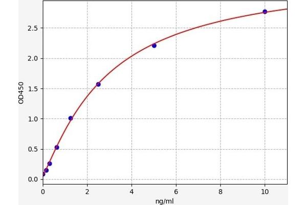 CYP24A1 ELISA Kit