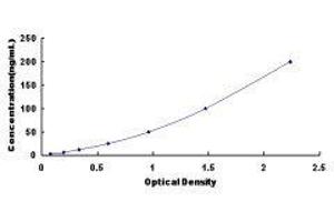 ELISA image for Ubiquitin D (UBD) ELISA Kit (ABIN414803) (UBD ELISA Kit)